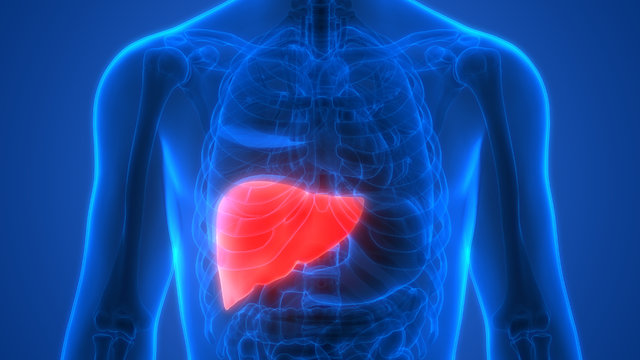 Karaciğer Sağlığını Zirveye Çıkartan 4 Malzemeli Karaciğer Temizleme Kürü - 2