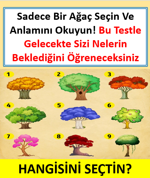 Bu test kendi adınıza yeni şeyler keşfetmenizi sağlayacak - 1