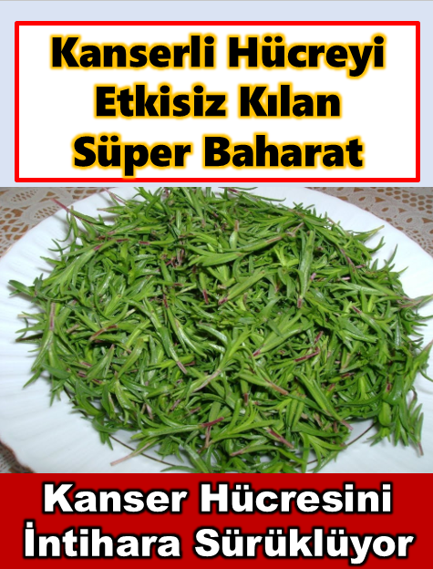 Hücreyi etkisiz kılan mucize baharat - 1