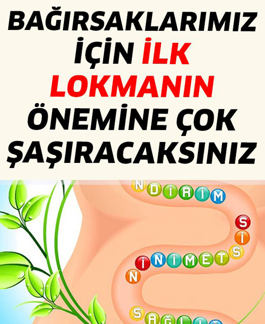 Bağırsaklarımız İçin İlk Lokmanın Önemine Çok Şaşıracaksınız - 1