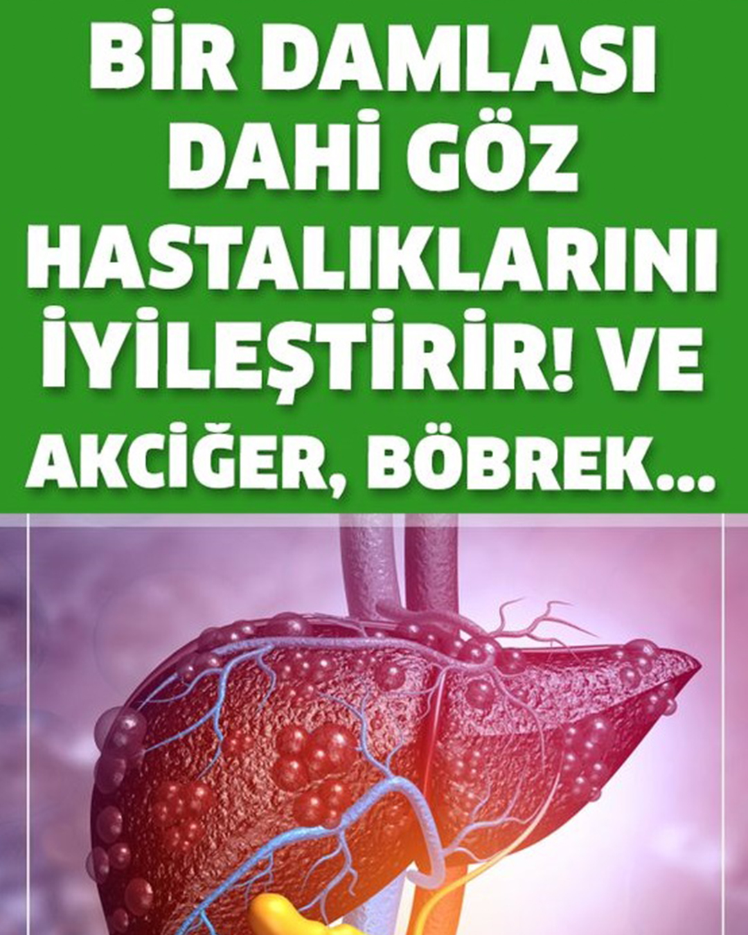 Bir Damlası Bile Göz Hastalıklarını İyileştirir - 1