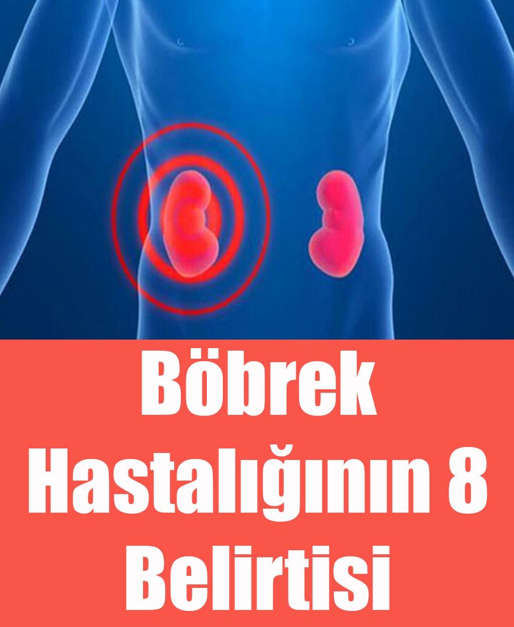 Böbrek Hastalığının 8 Belirtisi - 1