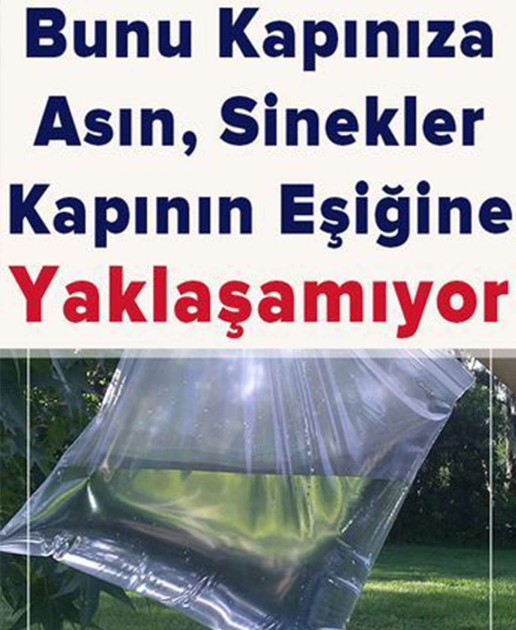 Ne Sinek Ne Böcek Evinize Hiçbiri Yaklaşamayacak - 1