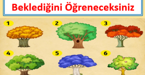 Bu test kendi adınıza yeni şeyler keşfetmenizi sağlayacak
