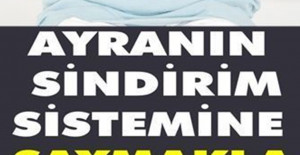 Ayranın Sindirim Sistemine Faydaları