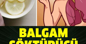 Balgam Söktürücü En Etkili Bitki Çayları
