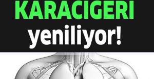 1 Yudumu Karaciğeri Yenilemeye Göbeği Dümdüz Yapmaya Yetiyor