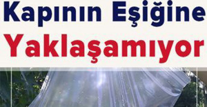 Ne Sinek Ne Böcek Evinize Hiçbiri Yaklaşamayacak
