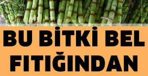 Tamamen Doğal Ürünlerle Bel Fıtığından Kurtulun