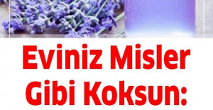 Eviniz Misler Gibi Koksun