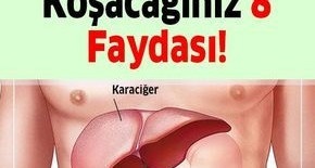 Yoğurt Otunun Dinleyince Aktara Koşturacak 8 Faydası
