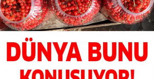 Verimleri bilimsel olarak ispatlanmış şifa meyvesi