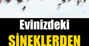 Evinizdeki Sineklerden 1 Dakikada Kurtulun	