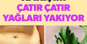Bu sirkeli karışım çatır çatır yağları yakıyor