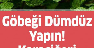 Göbeği Dümdüz Yapın Karaciğeri Yenileyin