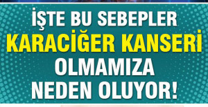 Bu Sebeplere Dikkat Karaciğer Kanseri Olmanıza Neden Oluyor