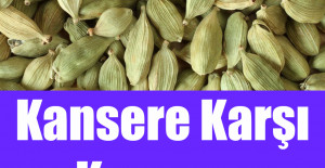 Kansere Karşı Koruyan Besin