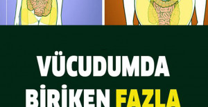 Vücudunuzda aşırı yağ birikimi nerede olur? Nasıl kurtulursunuz?