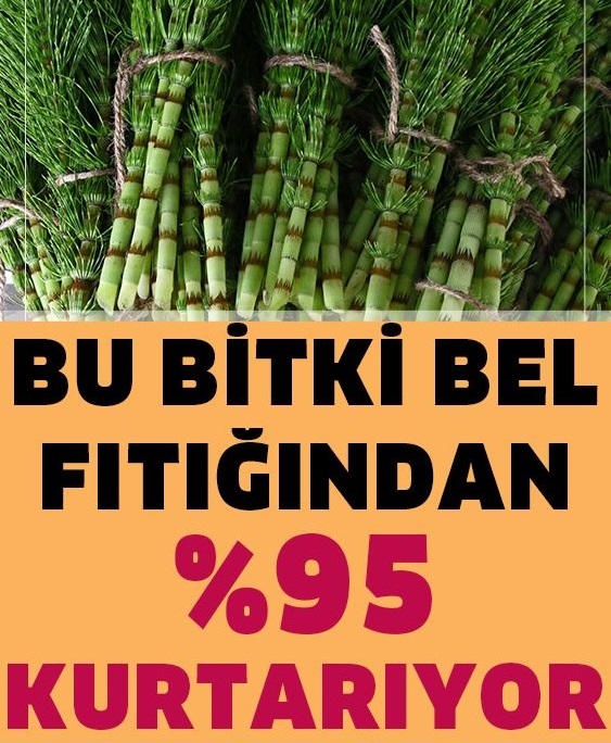 Tamamen Doğal Ürünlerle Bel Fıtığından Kurtulun - 1