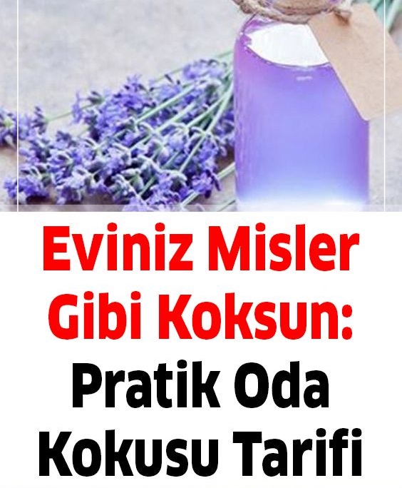 Eviniz Misler Gibi Koksun - 1