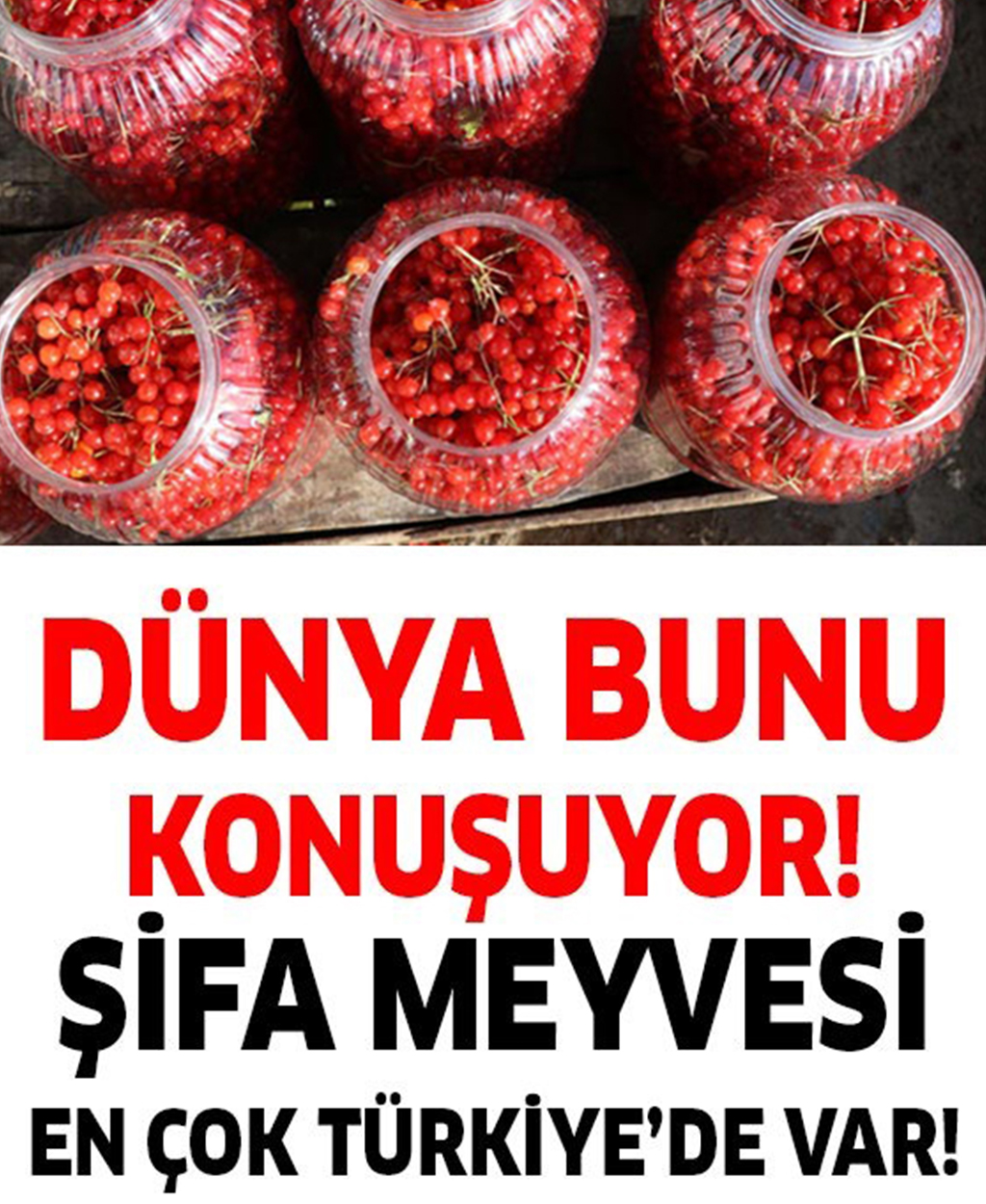 Verimleri bilimsel olarak ispatlanmış şifa meyvesi - 1