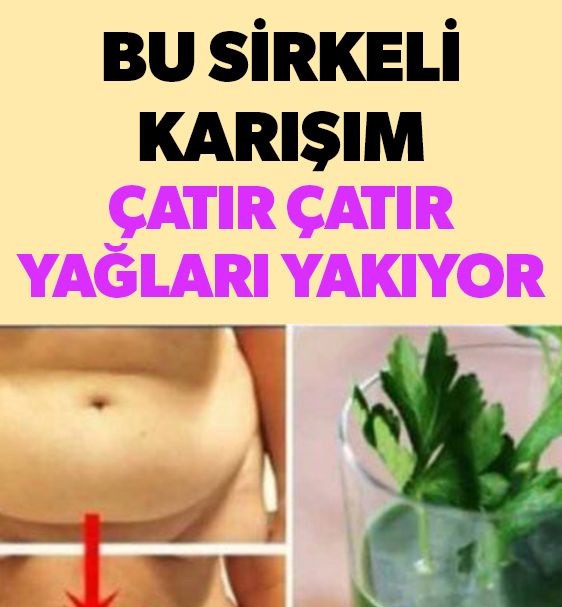 Bu sirkeli karışım çatır çatır yağları yakıyor - 1