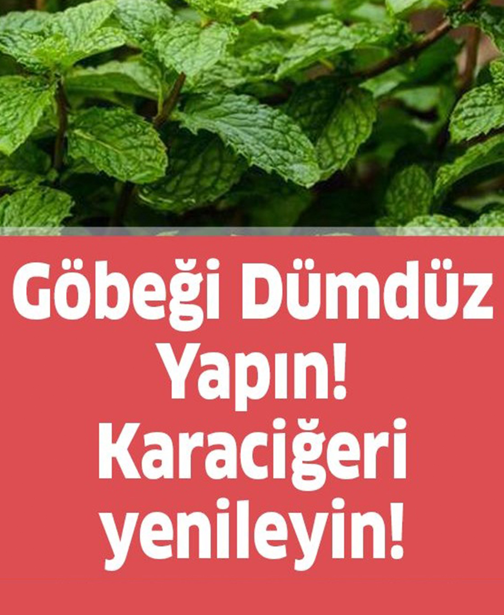 Göbeği Dümdüz Yapın Karaciğeri Yenileyin - 1