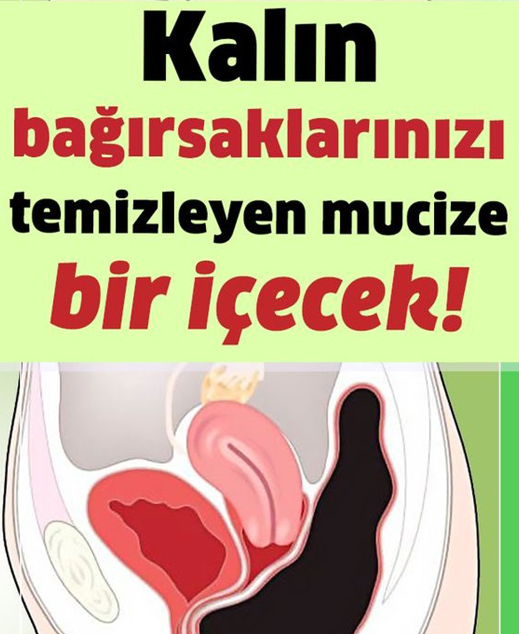 Kalın Bağırsaklarınızı Temizleyen Mucize İçecek - 1