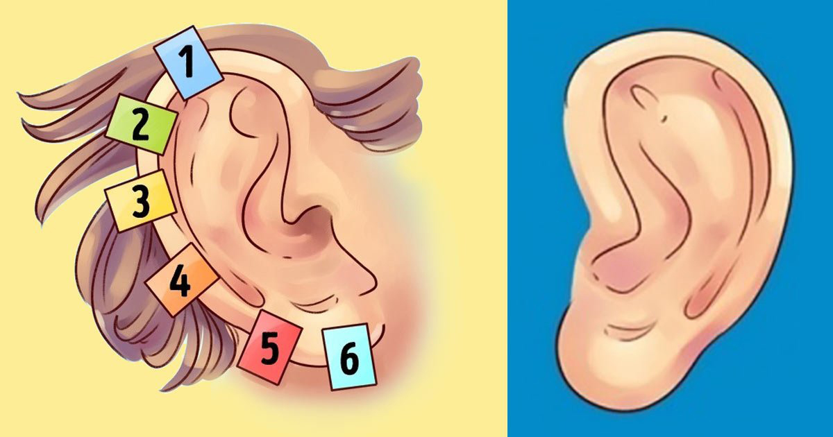 Hastalıkları Kulağınızdaki 6 Noktadan Tedavi Etmek Mümkün - 2