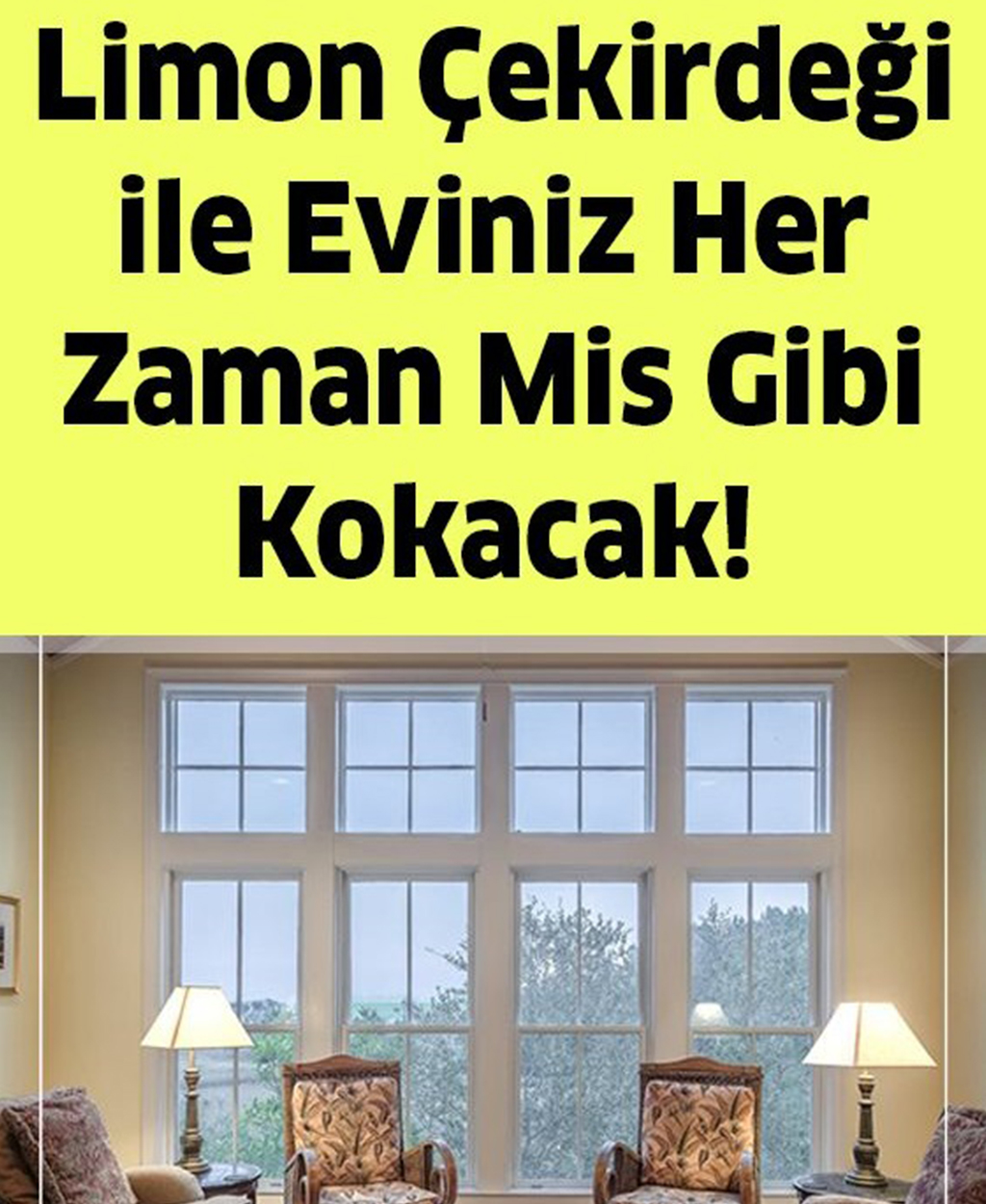 Limon Çekirdeği ile Konutunuz Her Zaman Mis Gibi Kokacak - 1