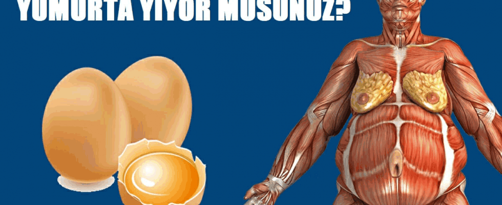 Doktor Söyledi Bedenindeki Farklılıklara O Bile İnanamadı - 2