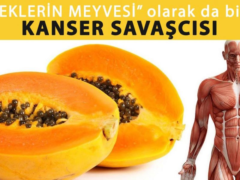 Kanseri Etkisi Altına Alan Meyve - 2
