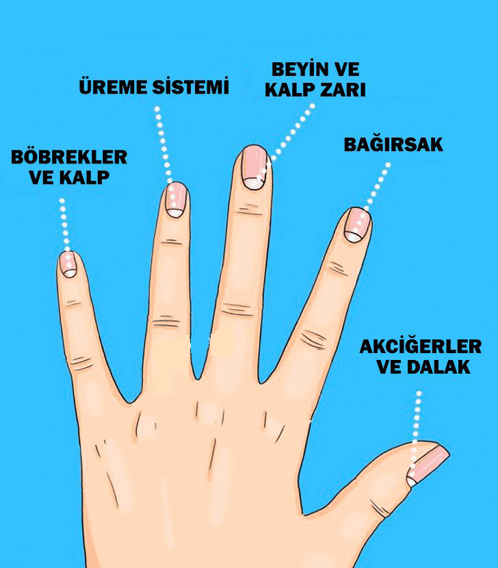 Tırnaklarınızın size anlattığı 13 sağlık sorununa dikkate alın - 2