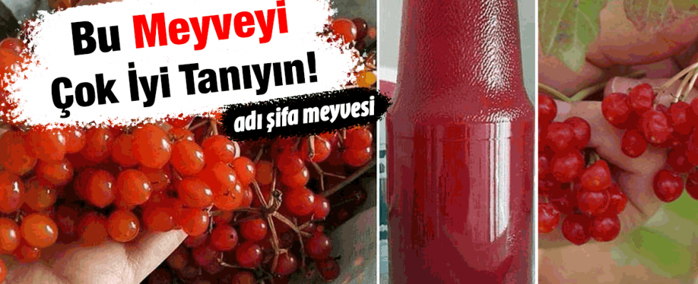 Verimleri bilimsel olarak ispatlanmış şifa meyvesi - 5