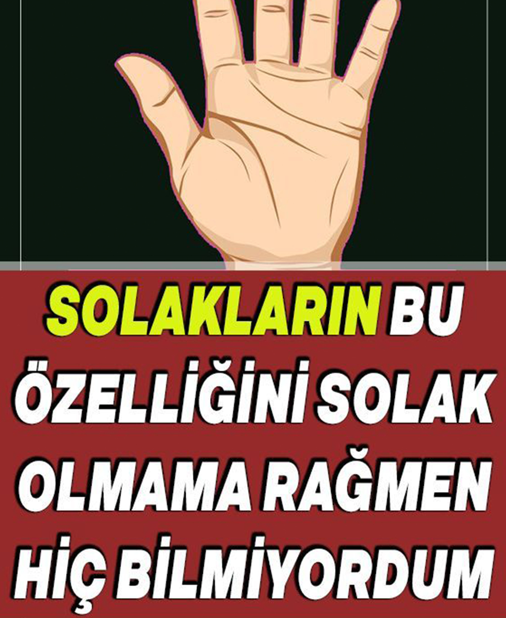 Solaklar Hakkında Hiç Bilmediğiniz, Bilim Tarafından Onaylanan 6 Gerçek - 1