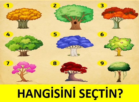 Bu test kendi adınıza yeni şeyler keşfetmenizi sağlayacak - 3